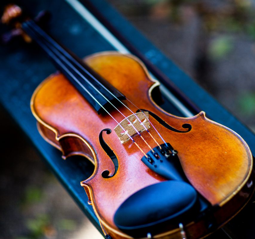 Up close color photo of a violin